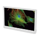 HD LCD Digital Microscope Camera
